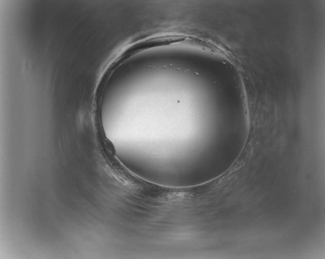 X0000062650152200512281656