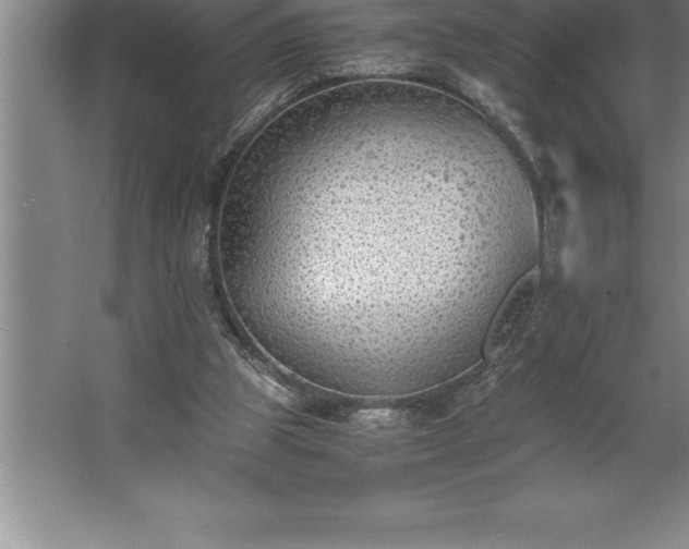 X0000062650153200512281656