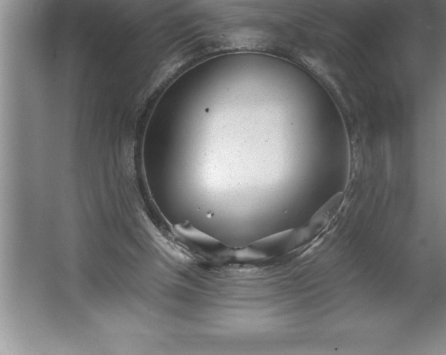 X0000062650154200512281656