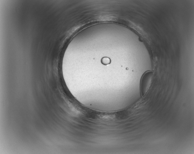 X0000062650155200512281656