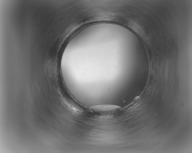 X0000062650156200512281656