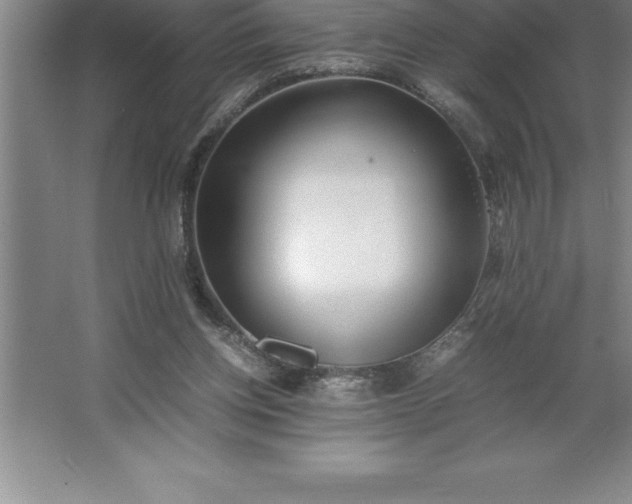 X0000062650158200512281656