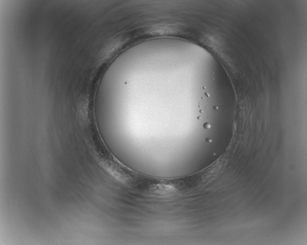 X0000062650159200512281656