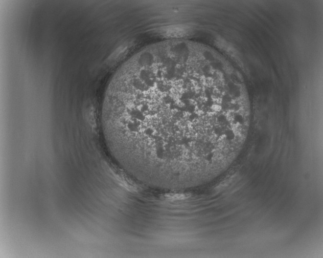 X0000062650161200512281656