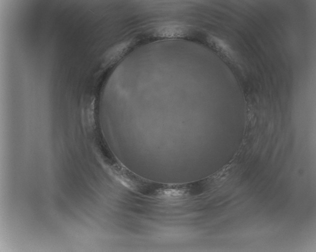 X0000062650163200512281656