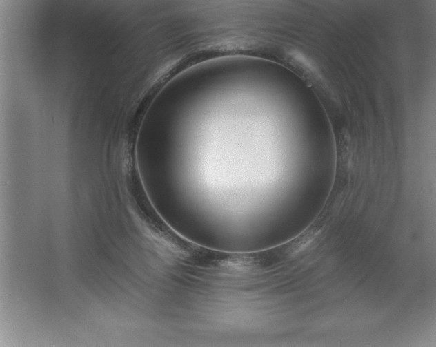 X0000062650164200512281656