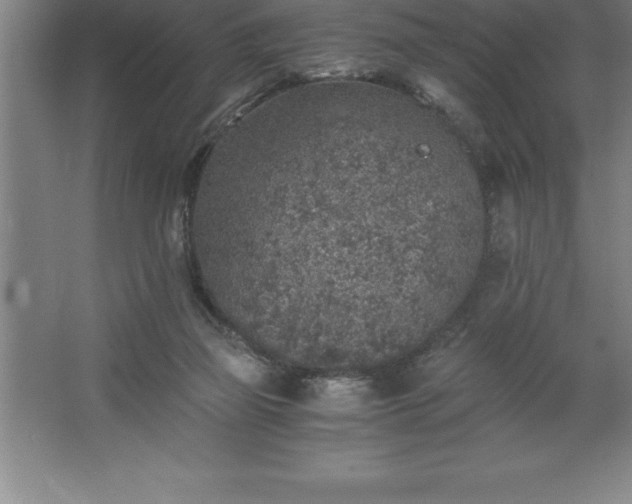 X0000062650165200512281656