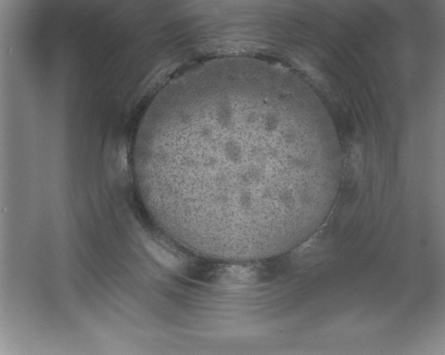 X0000062650166200512281656