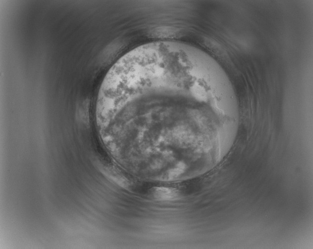 X0000062650167200512281656