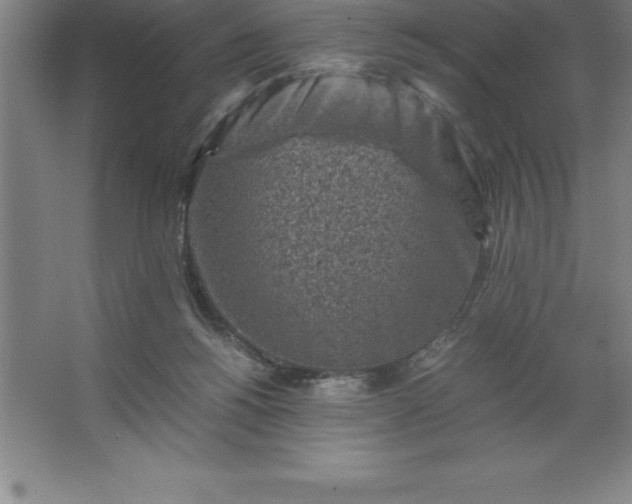 X0000062650168200512281656