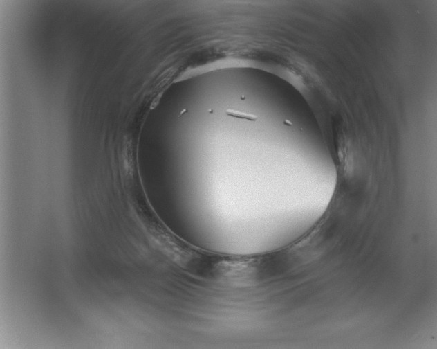 X0000062650170200512281656