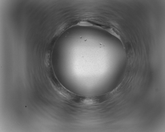 X0000062650171200512281656