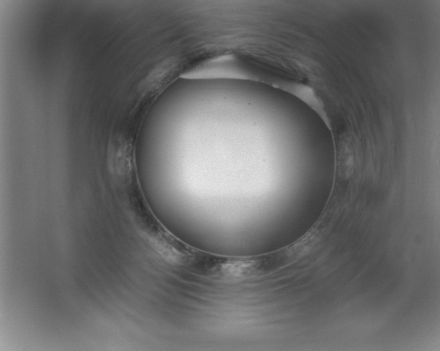 X0000062650172200512281656