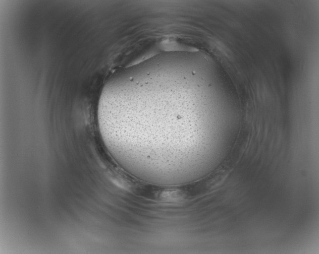 X0000062650173200512281656