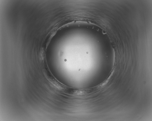 X0000062650174200512281656