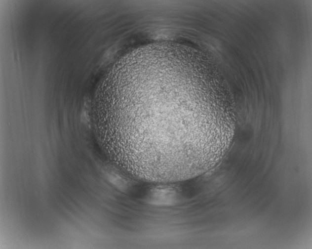 X0000062650175200512281656