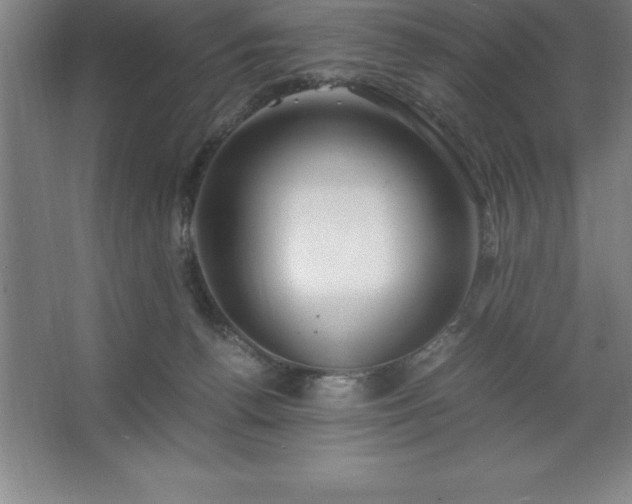 X0000062650176200512281656