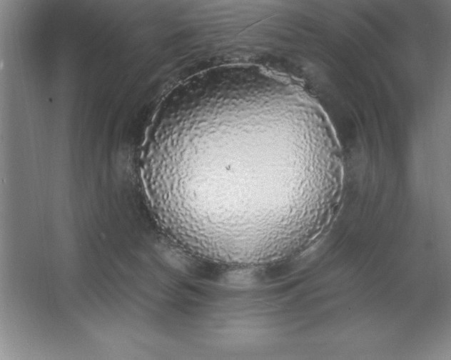 X0000062650178200512281656