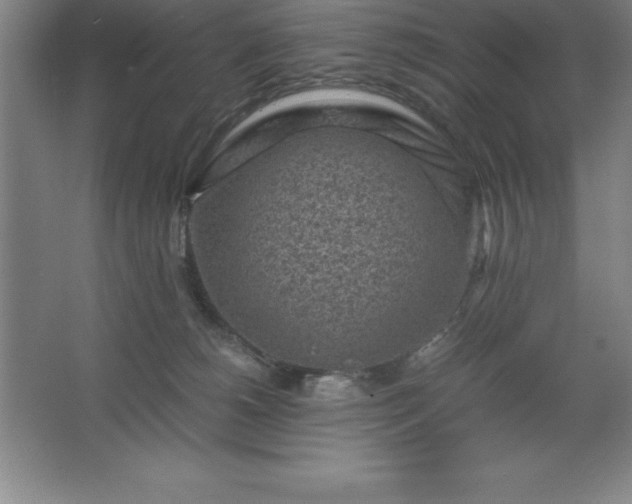 X0000062650180200512281656