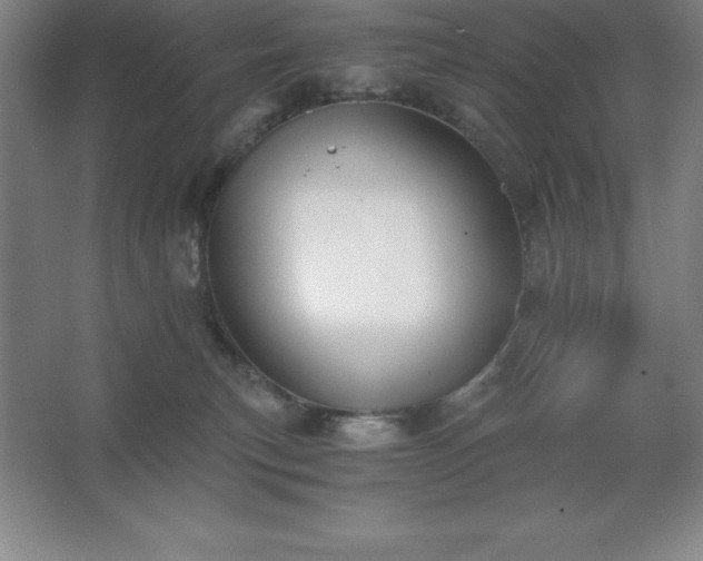 X0000062650183200512281656