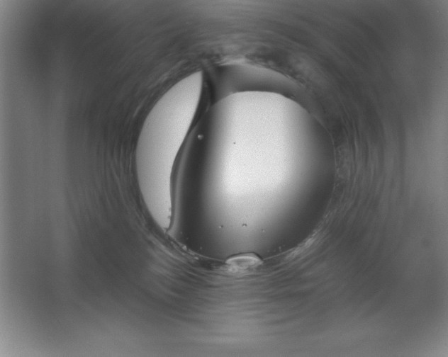 X0000062650184200512281656