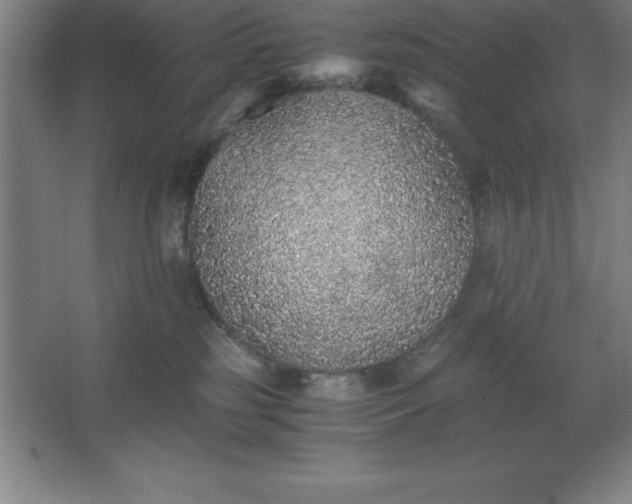 X0000062650185200512281656