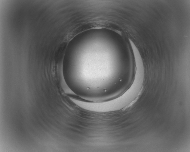 X0000062650186200512281656