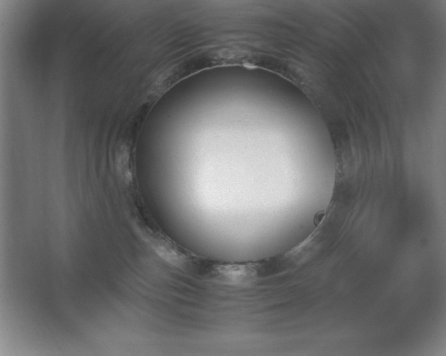 X0000062650187200512281657