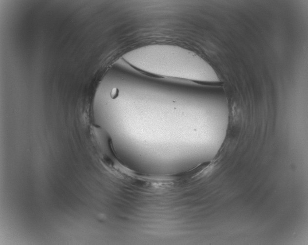 X0000062650188200512281657