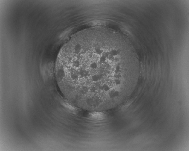 X0000062650189200512281657