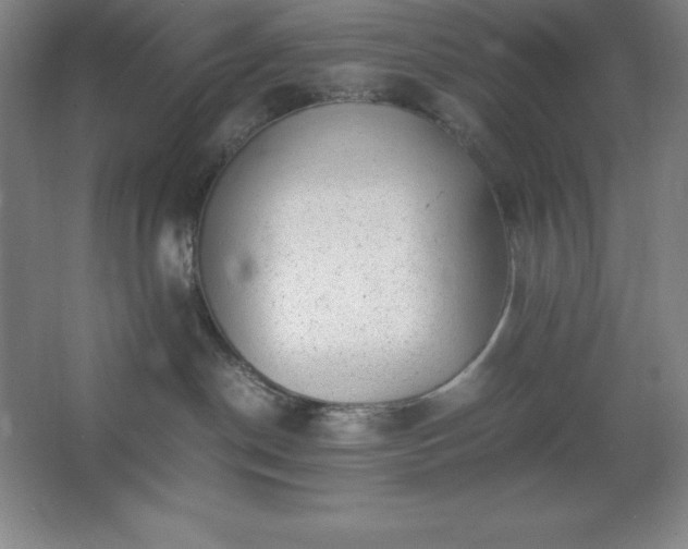 X0000062650190200512281657