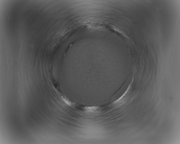 X0000062650192200512281657