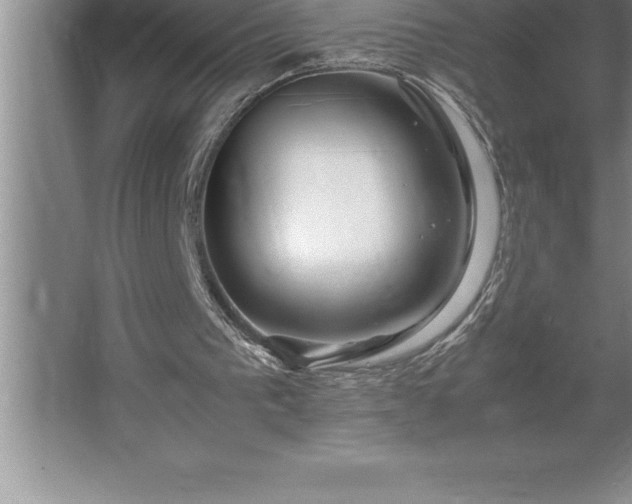 X0000062650193200512281656