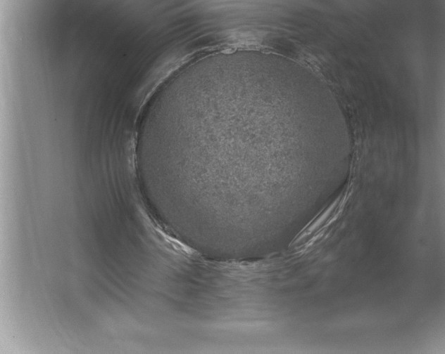 X0000062650194200512281656