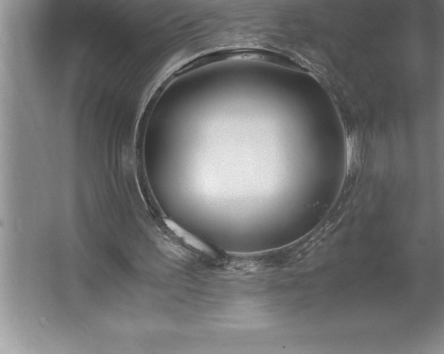 X0000062650195200512281656