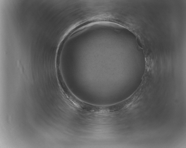 X0000062650196200512281656