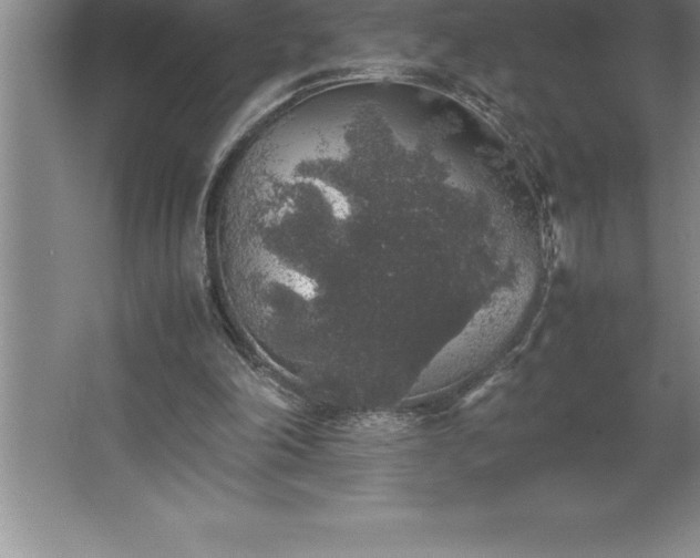 X0000062650198200512281656