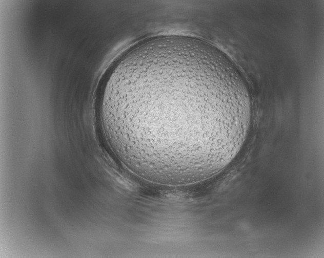 X0000062650199200512281656