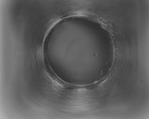 X0000062650200200512281656