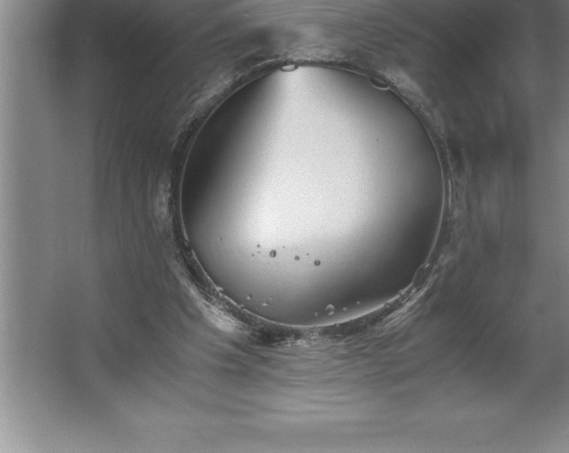 X0000062650201200512281656