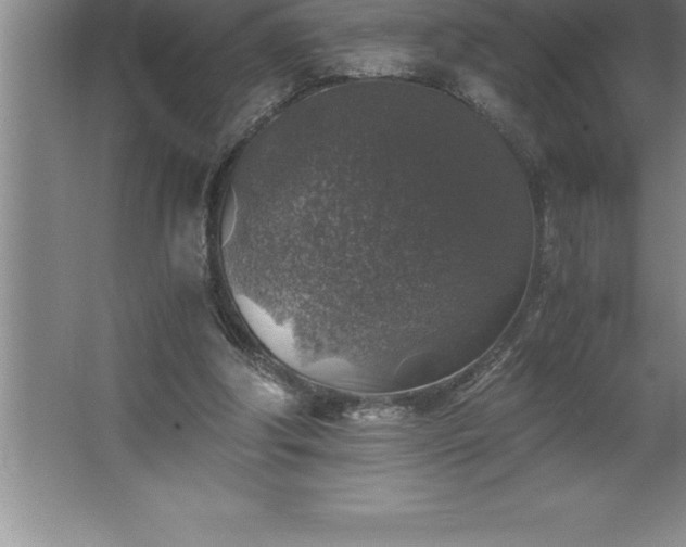 X0000062650202200512281656