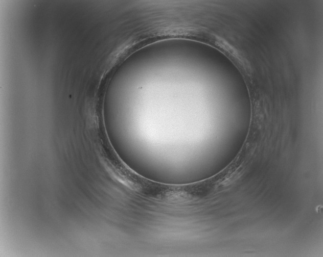 X0000062650203200512281656