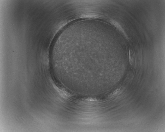 X0000062650204200512281656