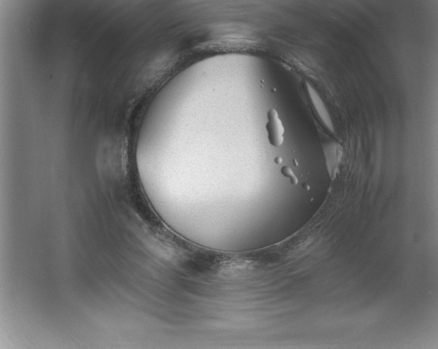 X0000062650206200512281656