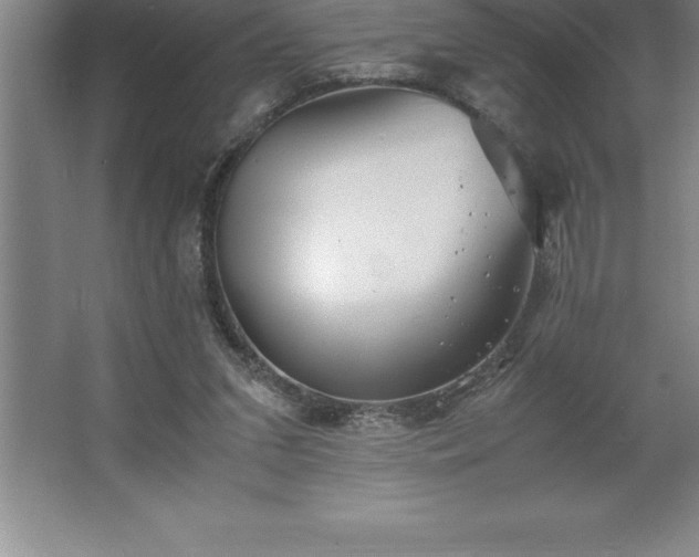 X0000062650207200512281656