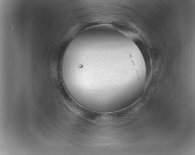 X0000062650209200512281656