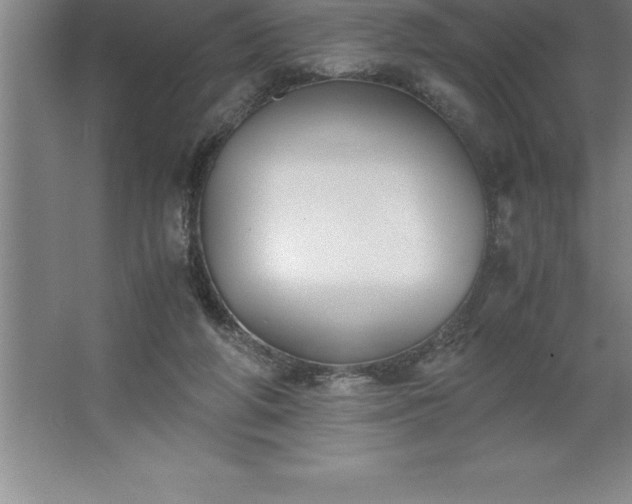 X0000062650210200512281655