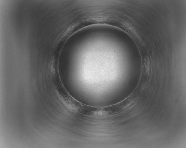 X0000062650212200512281655