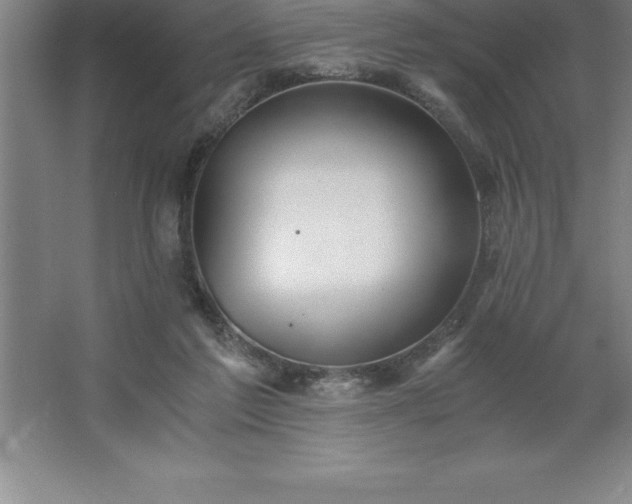 X0000062650213200512281655