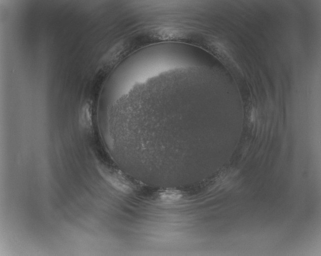 X0000062650214200512281655